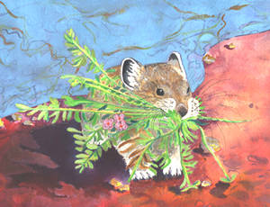 Click to see info. on prints.