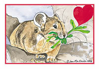 Valentine's Day cards