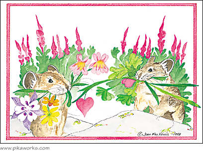 Greeting card about pika anniversary card, hearts and flowers card, columbine flower art, fireweed flower, love card, Valentine magnet, Valentine's Day card, romantic greeting card, pika painting card