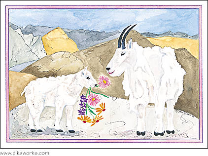 Greeting card about mountain goat art, mother's day card, birthday card, larkspur, aster, wildflowers, alpine goat, Mt. Evans goats, Colorado