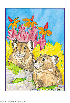 Greeting card about Pika Pete, Esmerelda Pika, Grand Teton National Park, pika birthday card, Wind River Range pika, Wyoming