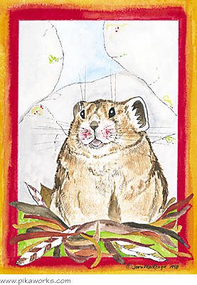 Greeting card about pika card, belated birthday, belated birthday greeting card, humorous card, American pika card, pika art