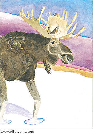 Greeting card about moose card, moose art, male moose blank card, whimsical moose art