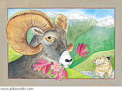 Greeting card about bighorn sheep art, bighorns, primroses, rosy paintbrush, birthday greetings, pika haystacks, bighorn birthday card