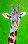 Hanaa giraffe