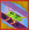 Gregory Grasshopper