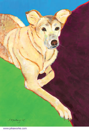 Cree the American Dingo