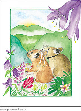 Greeting card about pika wedding card, wedding greeting card, wedding flower, wild flower, columbine flower, love card, romantic greeting card