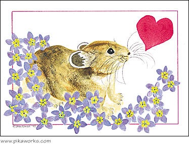 Greeting card about Valentine, Valentine's day card, Forget-me-not flower card, alpine wildflower, love, hearts and flowers, pika notecard