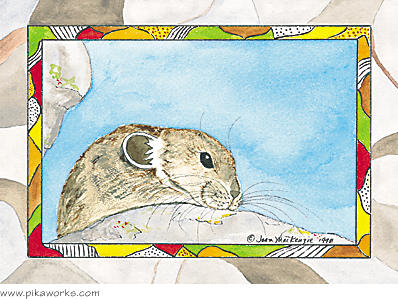 Greeting card about Friendship card, encouragement card, Grand Teton National Park pika, Wyoming pika art, Cascade Canyon pika art