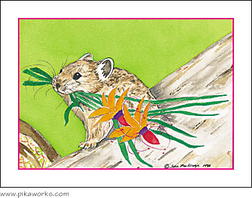 Greeting card about pika birthday card, birthday greeting card, pikas, pika Christmas card, pika Xmas card pack, pika artwork, pika notecard