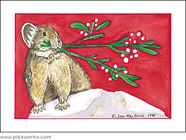 Greeting card about Idaho pika, mistletoe card, holiday season birthday card, Buddy pika, coney, pika Xmas card, pika painting, Xmas card pack with pika