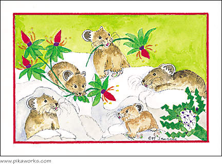 Greeting card about pika birthday card, pikas on card, pika Christmas cards, Christmas card pack