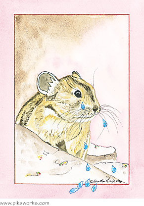 Greeting card about pika sympathy card, pika friendship card, Wind River Range, Wyoming, Pika Pete, sad card