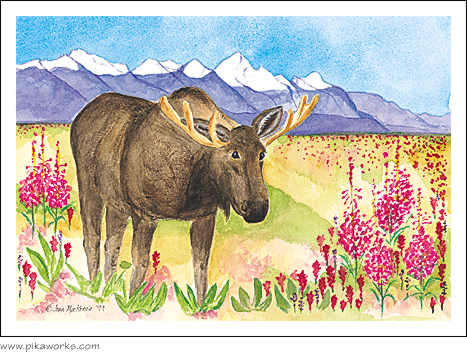 Greeting card about moose card, fireweed, friendship card, Indian paintbrush art, Grand Tetons Moose, Grand Teton National Park, Yellowstone, framed moose print