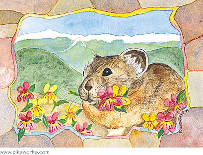 Greeting card about pika birthday card, monkeyflowers, alpine wildflowers, Bodie, California, ghost town pika