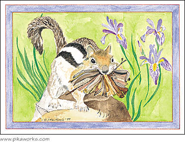 Greeting card about birthday card, blank card, ground squirrel card,