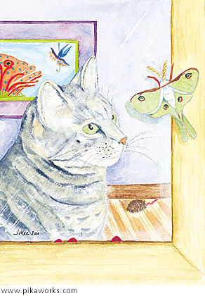 Greeting card about Pixel the Cat blank card, Pixel the Cat magnet