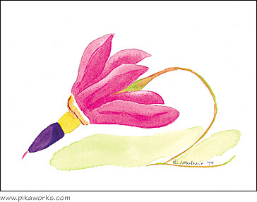 Greeting card about shooting star flower painting, shooting stars, primrose, alpine wildflower, note card