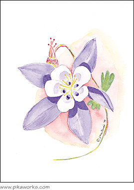 Greeting card about columbine flower card, Colorado alpine flower, Colorado state flower, purple columbine painting, columbine notecard