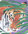 Tiger Eyes Mouse Pad