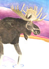 Front of Meandering Moose card