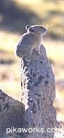 "This is my favorite look-out rock."