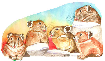 Detail from "Singing Pikas" by Joan MacKenzie