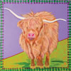 highland cow