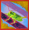 grasshopper