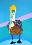 Perry the Brown Pelican