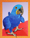 Gabe the Blue Hyacinth Macaw Magnet