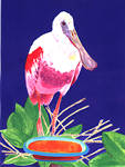 Harvey Spoonbill Print