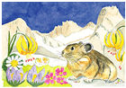 Spring Pika Magnet