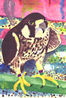 Peregrine Falcon Magnet
